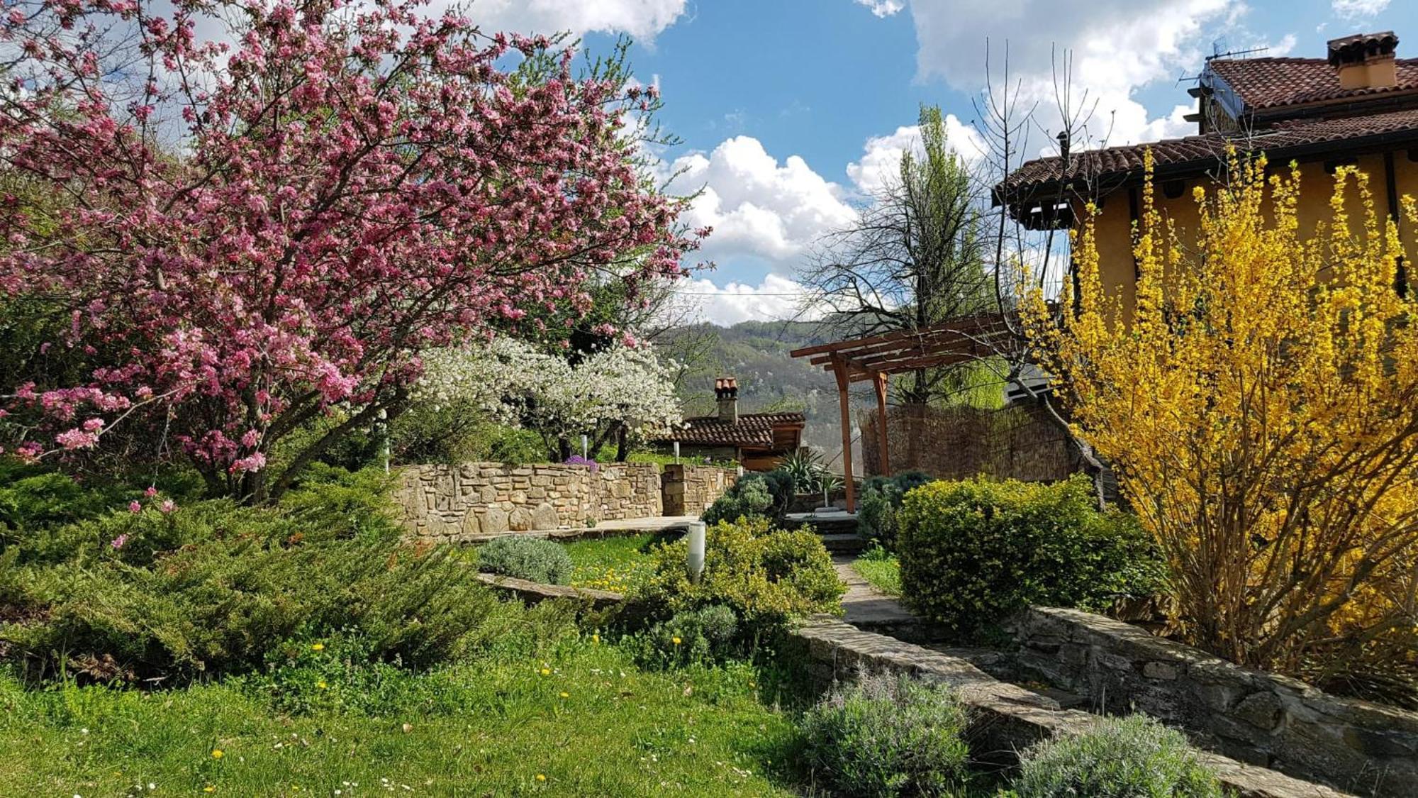 Agriturismo Fattoria Ca Di Sole San Benedetto Val di Sambro Εξωτερικό φωτογραφία